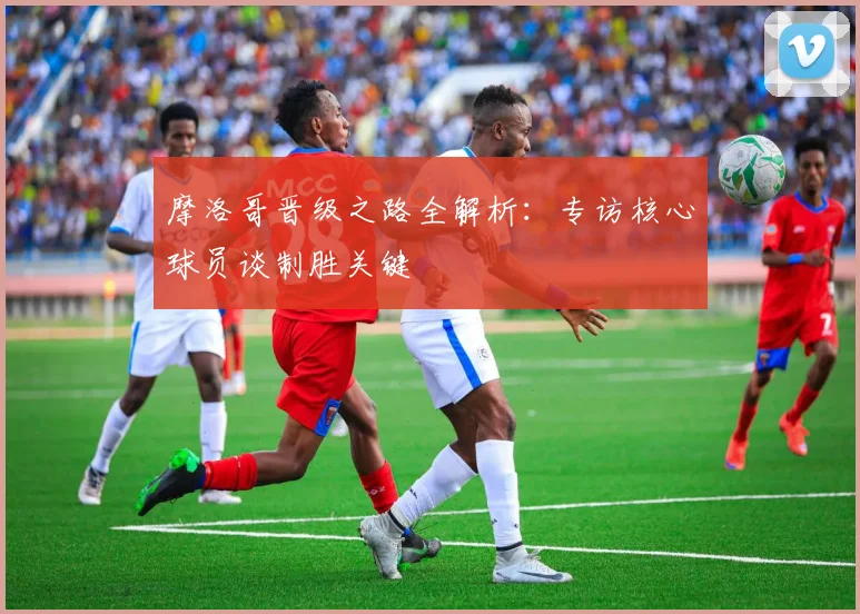 摩洛哥晋级之路全解析:专访核心球员谈制胜关键