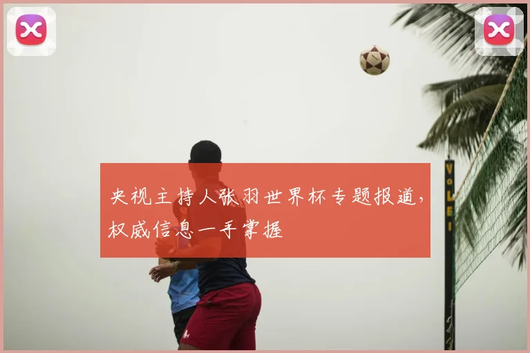 央视主持人张羽世界杯专题报道,权威信息一手掌握