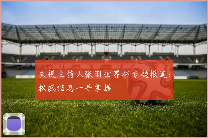 央视主持人张羽世界杯专题报道，权威信息一手掌握
