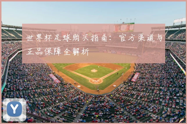世界杯足球购买指南:官方渠道与正品保障全解析