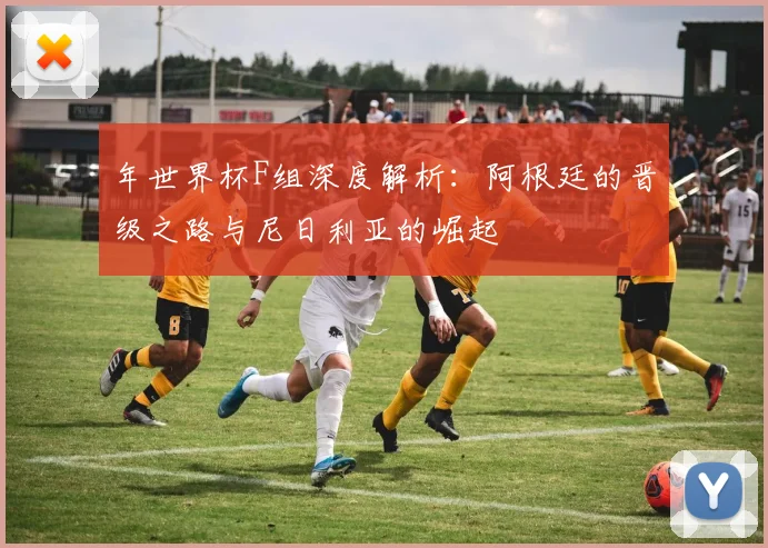 年世界杯F组深度解析:阿根廷的晋级之路与尼日利亚的崛起