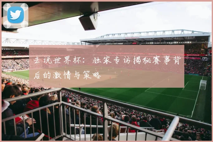 去说世界杯:独家专访揭秘赛事背后的激情与策略